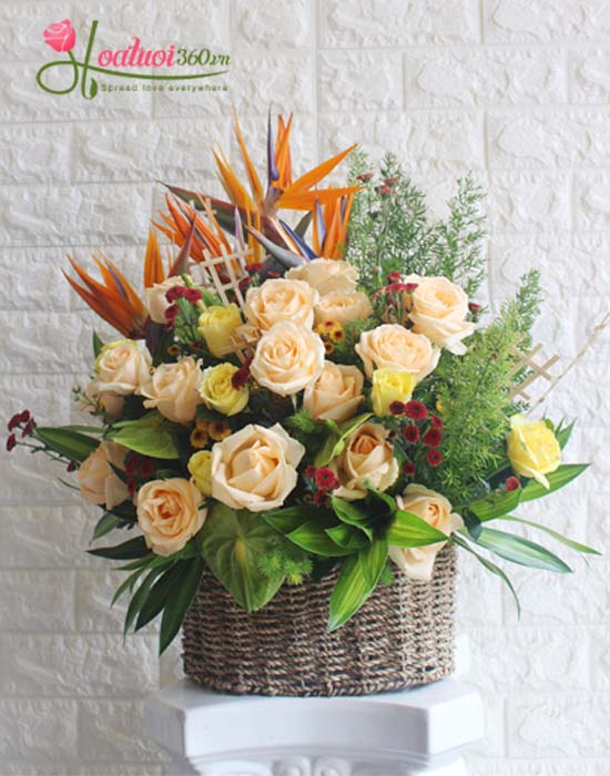 Congratulation flowers - Everyday